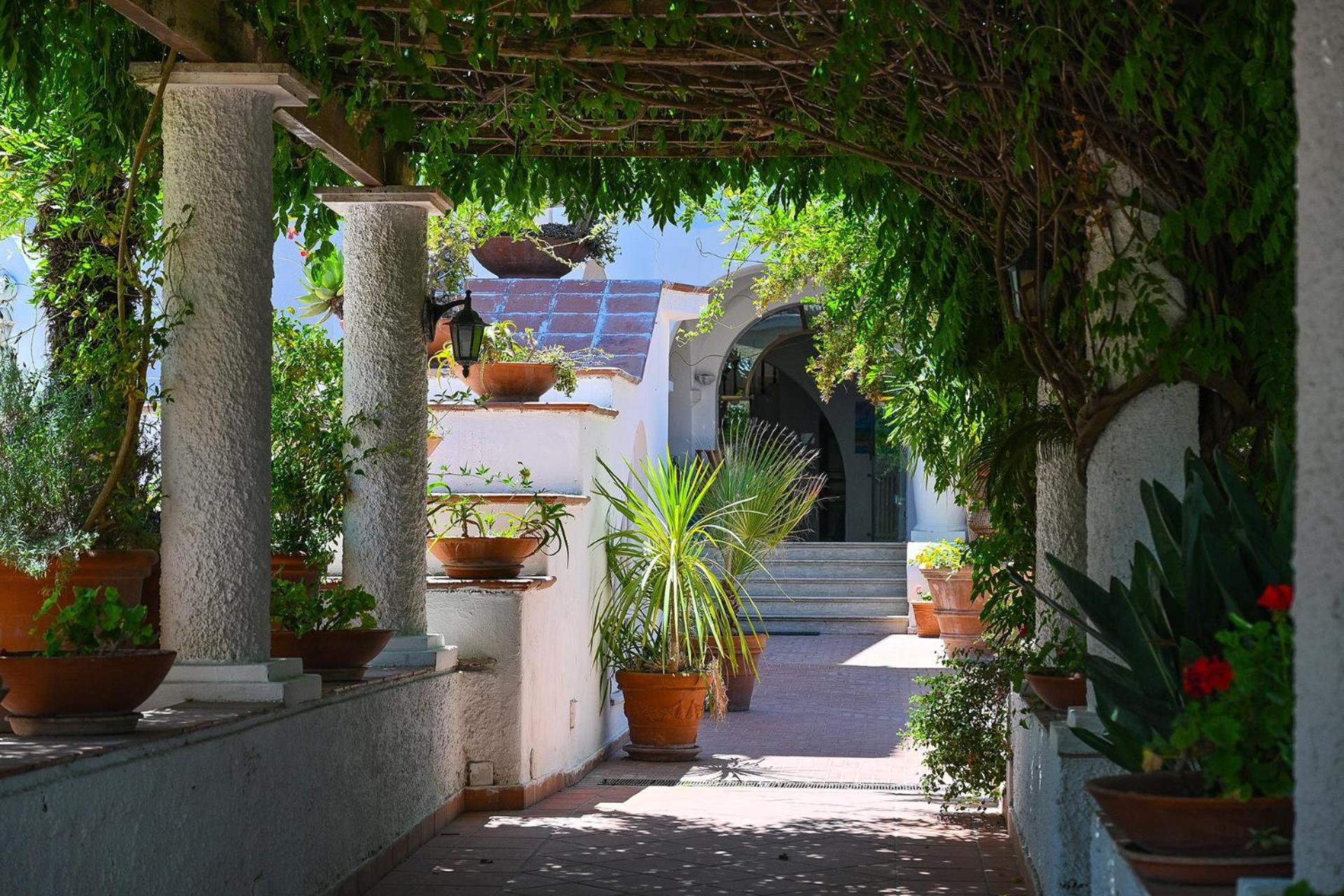 Av Club Terme Colella Hotel Forio di Ischia Buitenkant foto