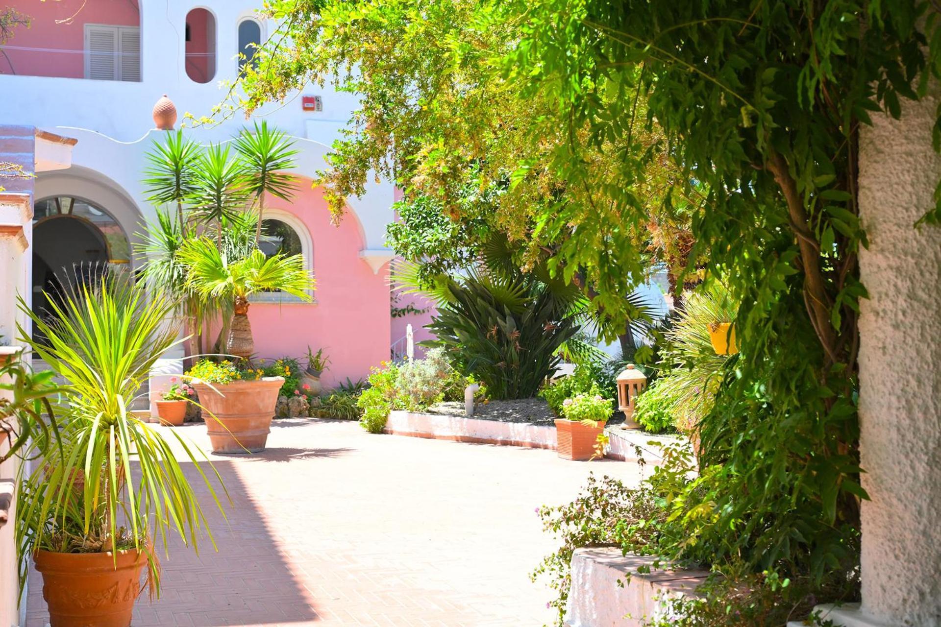 Av Club Terme Colella Hotel Forio di Ischia Buitenkant foto